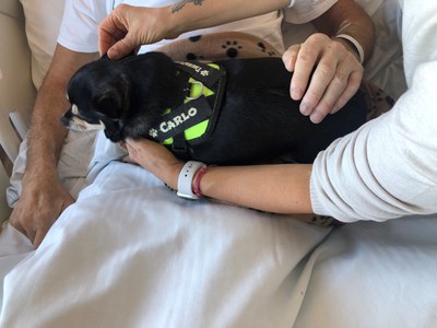 Momenti di pet therapy 3