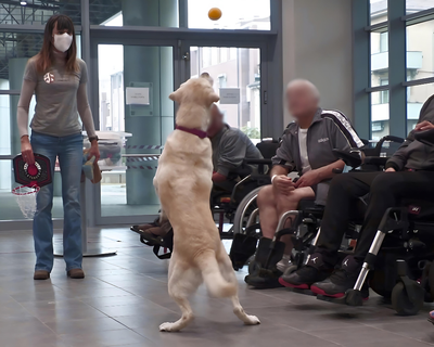 Momenti di pet therapy 4