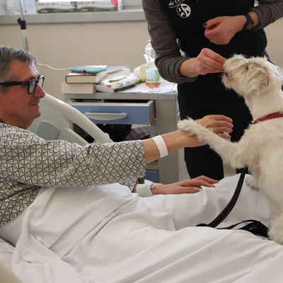 Pet therapy Neurologia 4